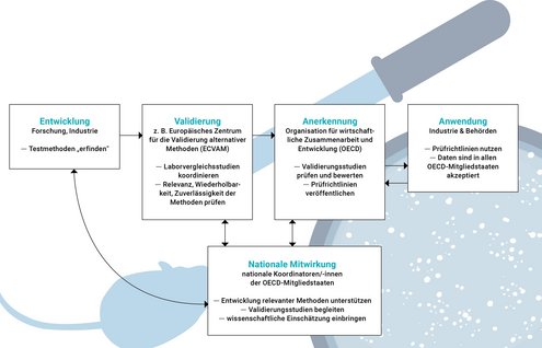 Infografik Testmethoden Chemikalien