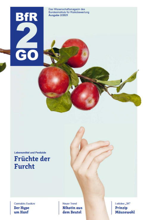 Cover BfR2GO 2/2021
