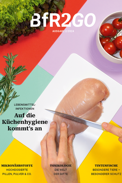 Cover BfR2GO Ausgabe 2/2024 Schwerpunkt K&uuml;chenhygiene
