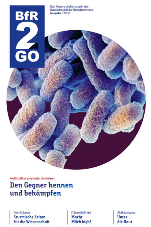Cover BfR2GO 1/2019