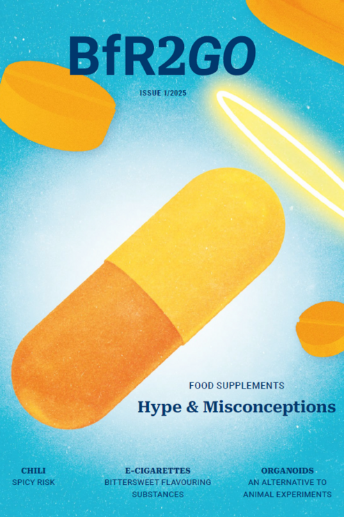 Cover BfR2GO 1/2025