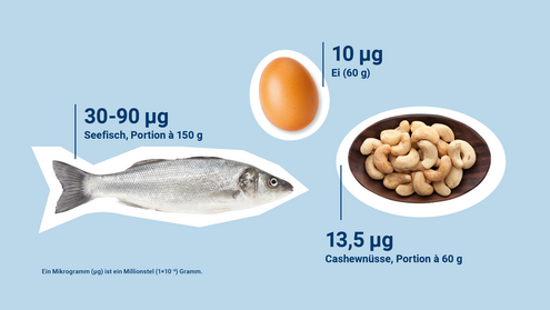 Infografik von guten Selen-Quellen Fisch, Ei und Cashews