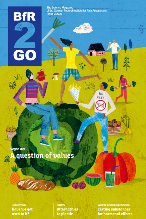Cover BfR2GO 2/2020