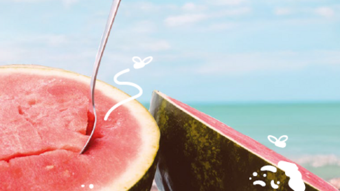 Melone in der Sonne