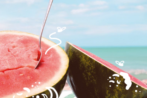 Melone in der Sonne