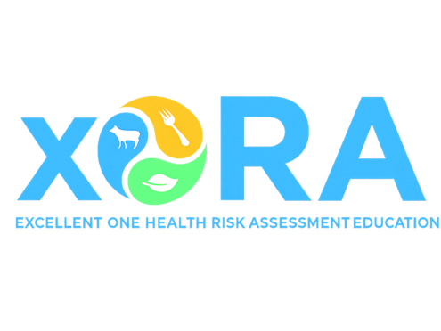 Logo XORA