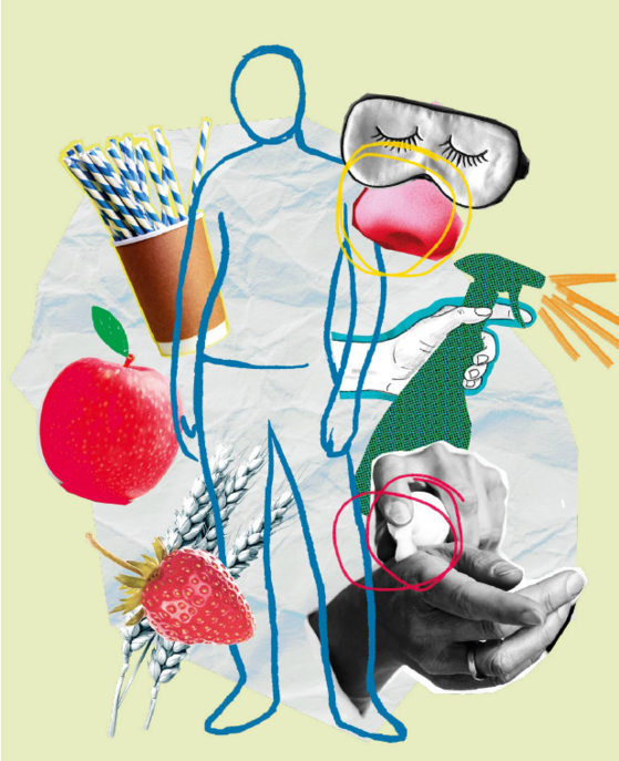 Collage mit Alltagsgegenständen und Lebensmitteln