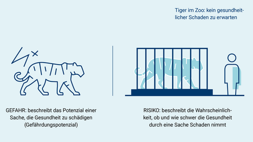 Infografik, die Risiko und Gefahr mit einem Tiger darstellt