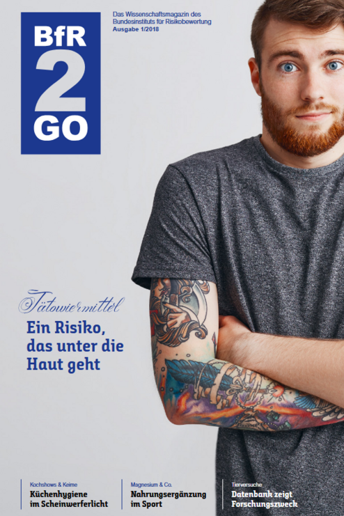 Cover BfR2GO 1/2028