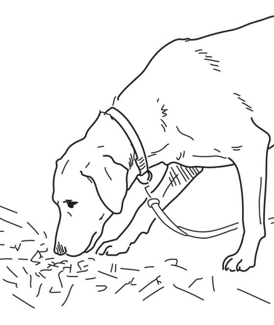 Illustration schnüffelnder Hund