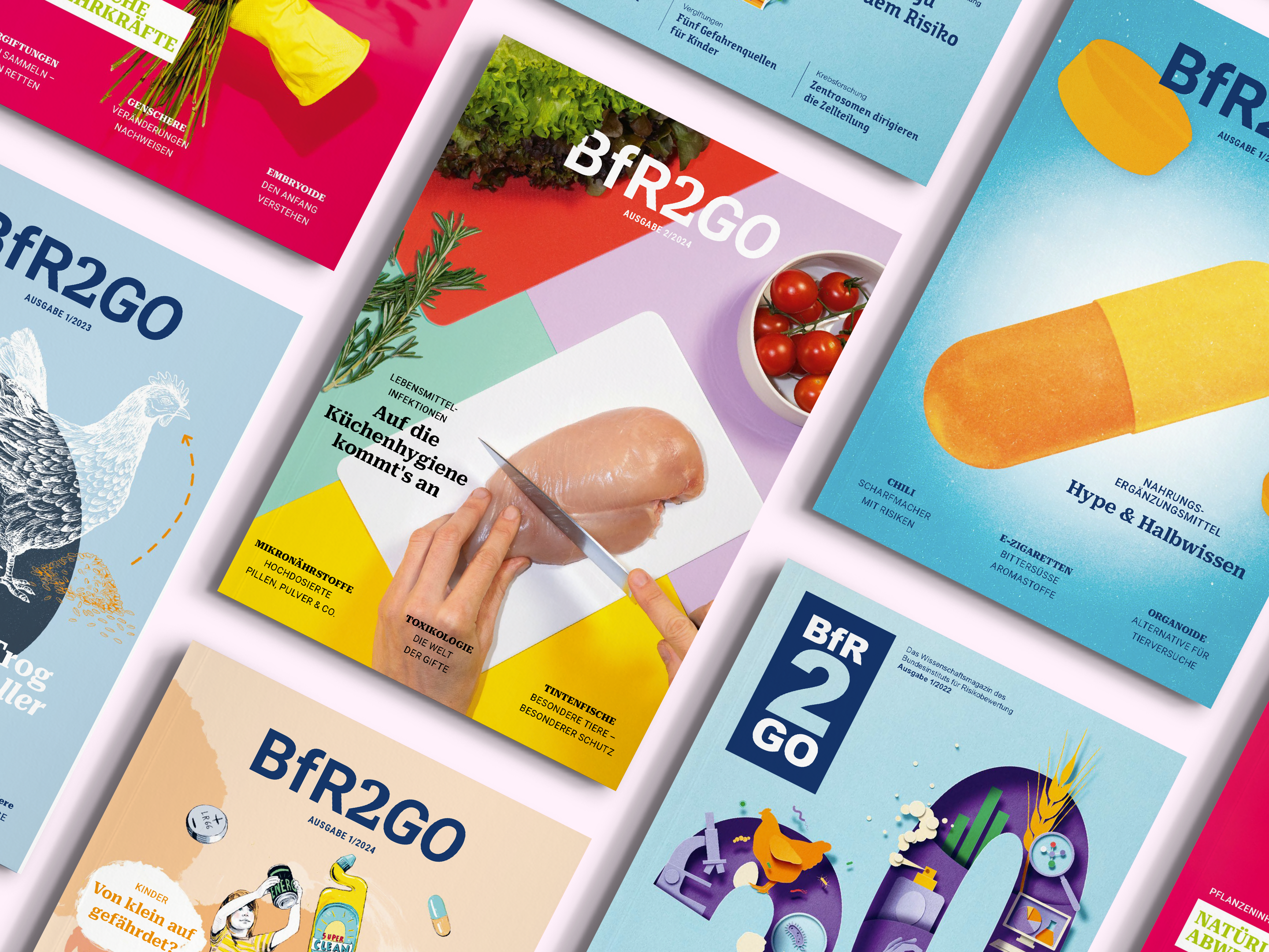 Cover-Motive verschiedener BfR2GO-Ausgabe