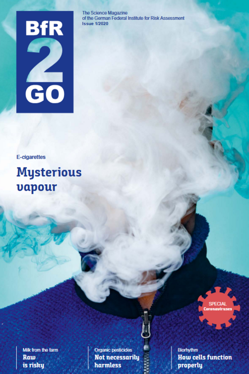 Cover BfR2GO 1/2020