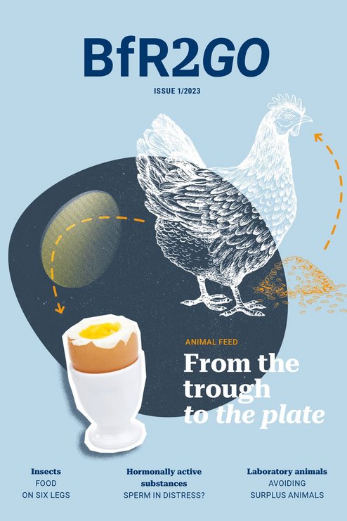 Cover BfR2GO 1/2023