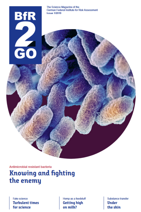 Cover BfR2GO 2/2019