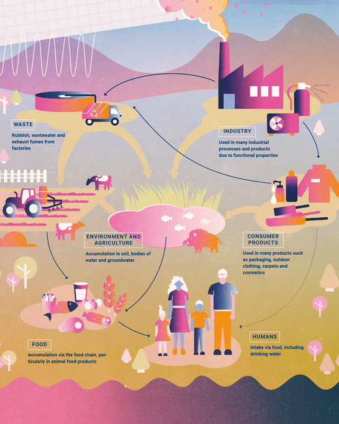 Environment PFAS info graphic