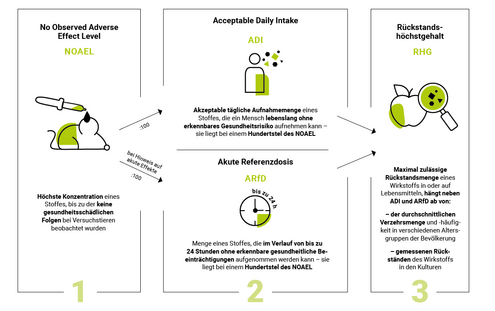 Infografik Ermittlung von R&uuml;ckstandsh&ouml;chstgehalten von Pestiziden