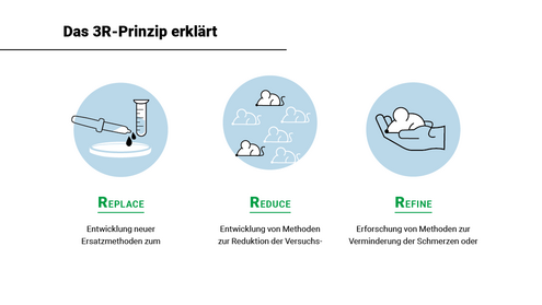 Infografik 3R Prinzip: Replace, Reduce, Refine