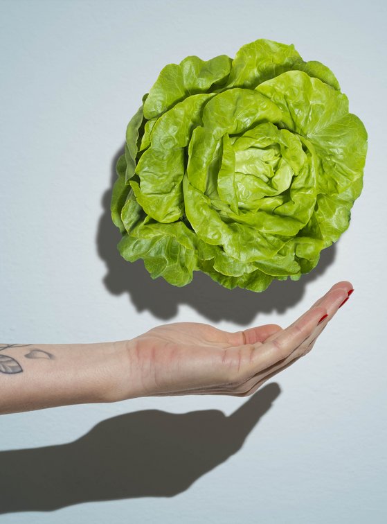 Hand wirft vorsichtig Salat