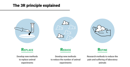 3r principle