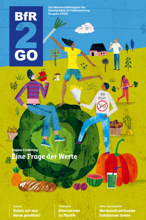 Cover BfR2GO 2/2020