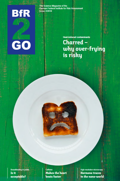 Cover BfR2GO 2/2018