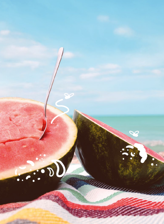 Melone in der Sonne