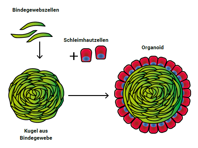 Erkl&auml;rbild